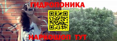 ПСИЛОЦИБИНОВЫЕ ГРИБЫ Мариинск