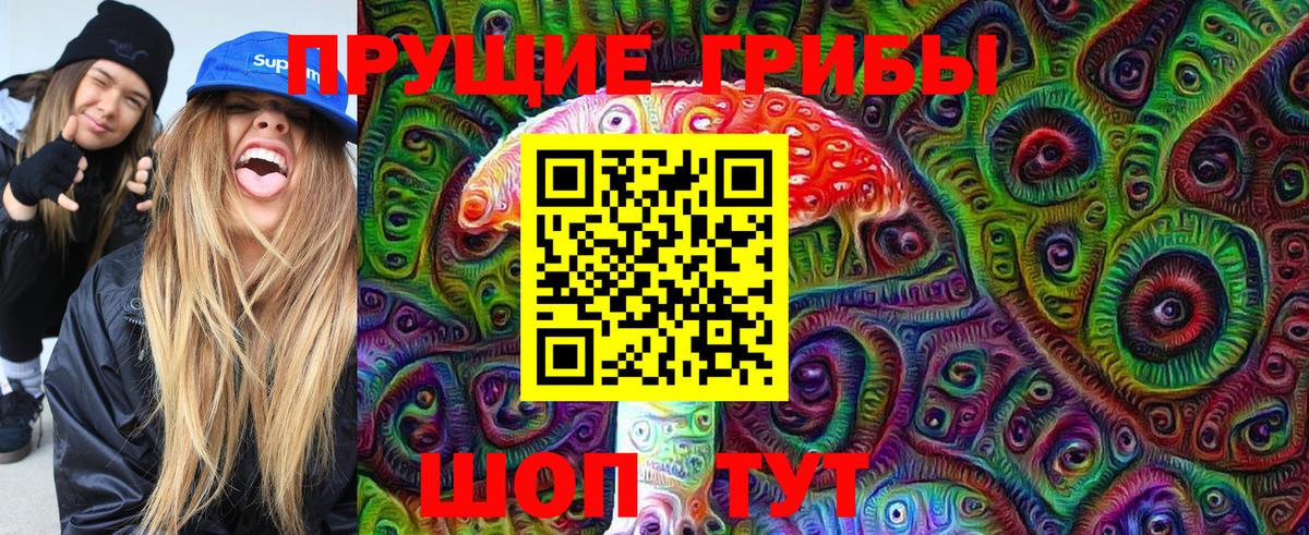 Ялуторовск  Галлюциногенные грибы Psilocybe  Вход с VPN 